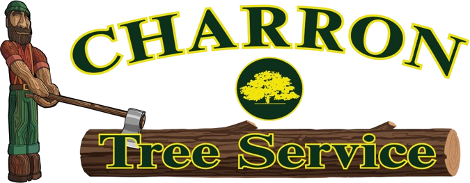 Paul Bunyan logo